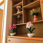 Apartament Casa Di Olga Accanto Al Mare