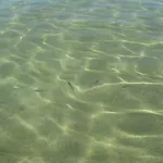 Casa Di Olga Accanto Al Mare *