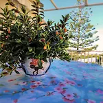 Apartament Casa Di Olga Accanto Al Mare